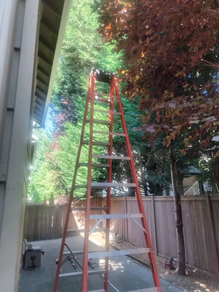 Top-rated lawn mowing service for homes across Seattle, WA - Seatown Landscaping