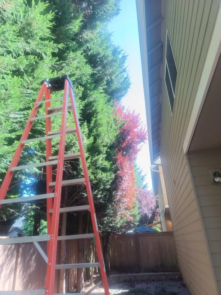 Custom yard maintenance in Seattle, WA - Seatown Landscaping