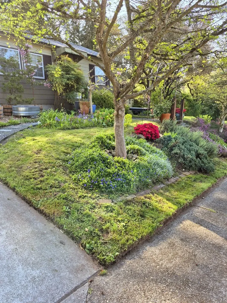 Local garden landscaping in Seattle, WA - Seatown Landscaping