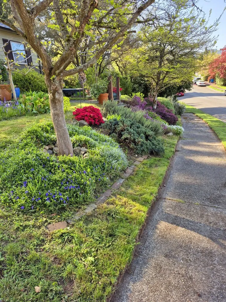 Professional landscaping services for beautiful yards in Seattle, WA by Seatown Landscaping