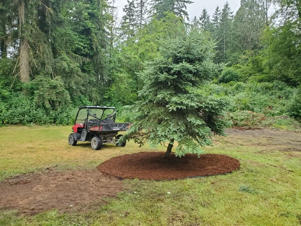 Reliable garden landscaping in Seattle, WA - Seatown Landscaping