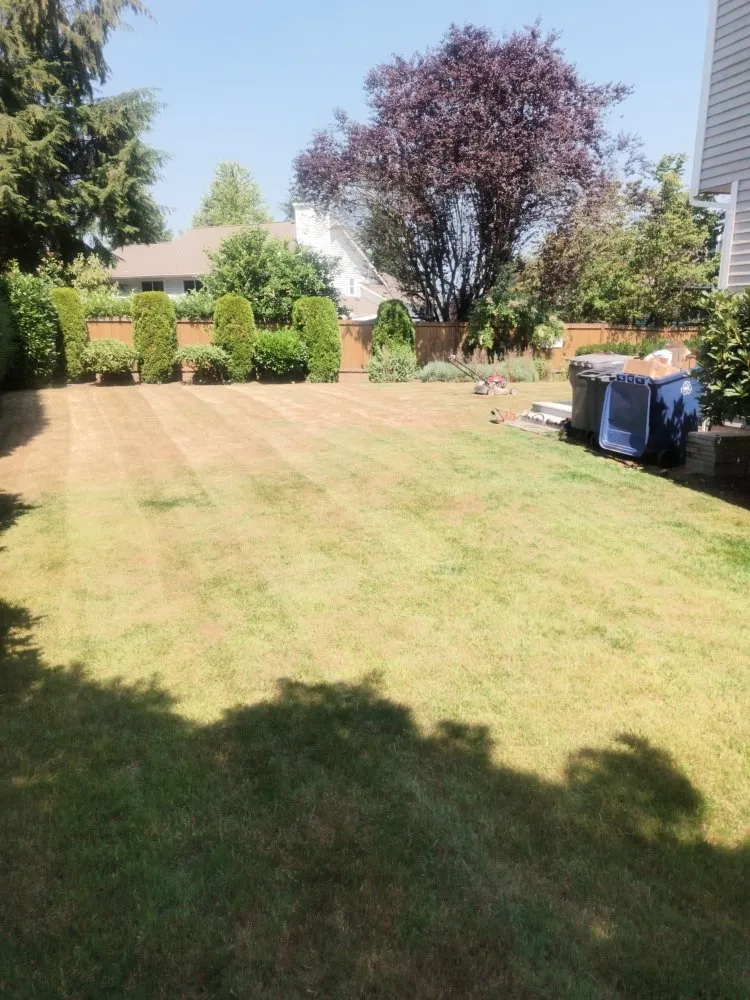 Professional residential landscaping in Seattle, WA by Seatown Landscaping