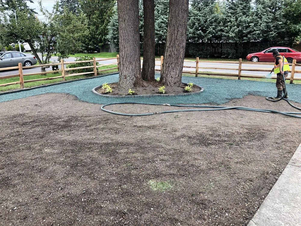 Top-rated lawn mowing service in Seattle, WA by Seattle Hydroseeding