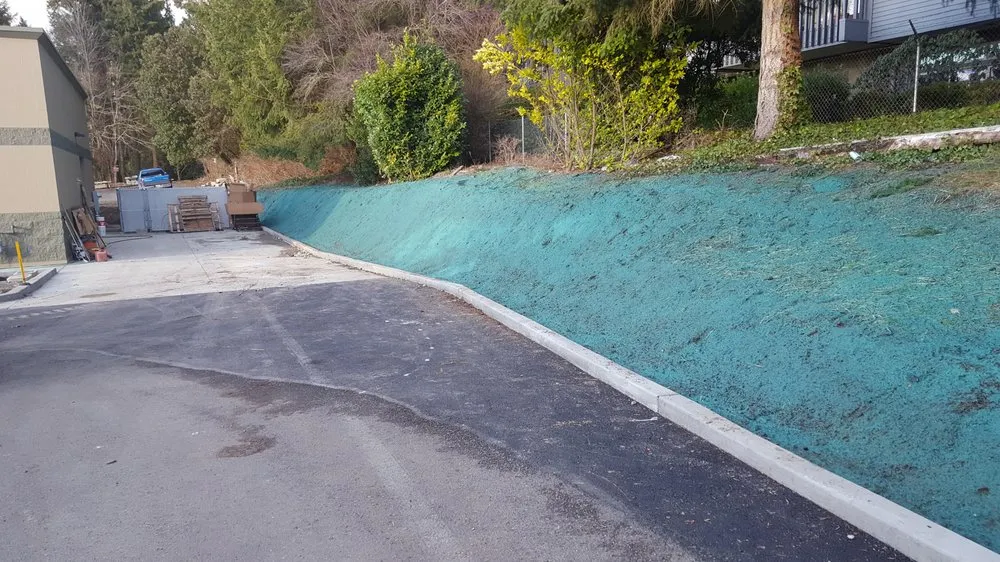 Local outdoor landscaping for homes in Seattle, WA by Seattle Hydroseeding