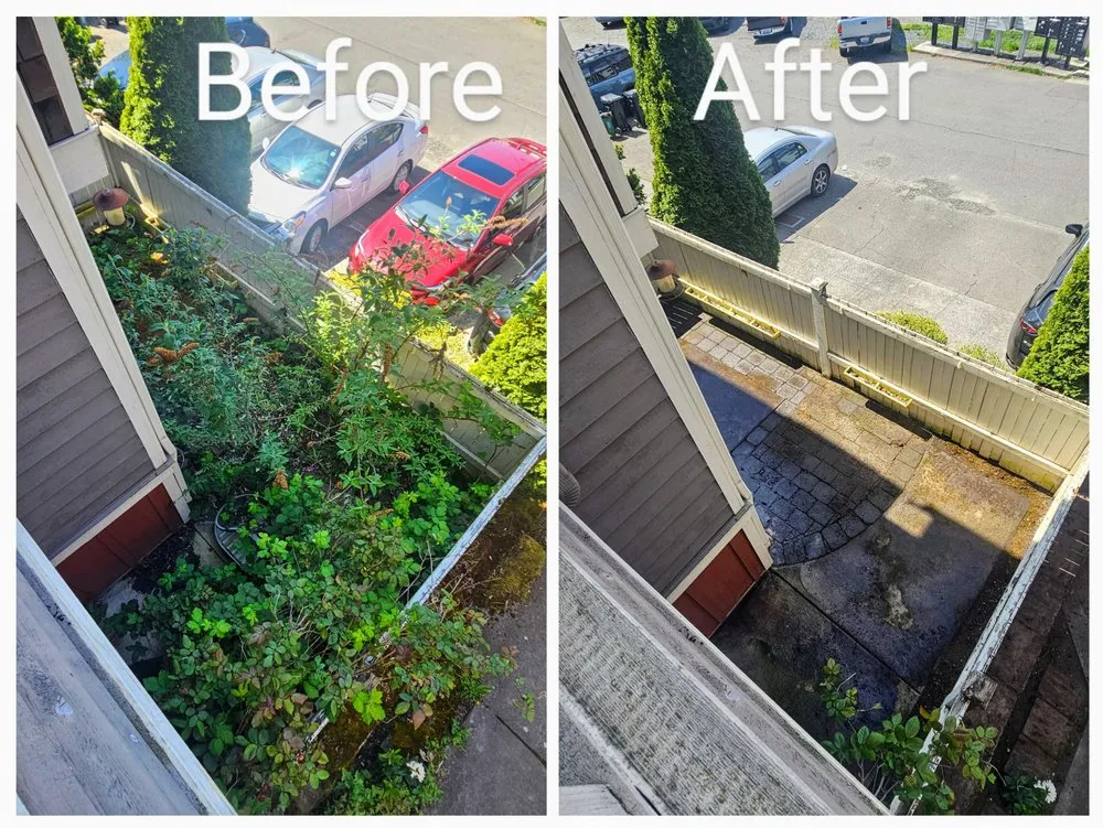 Professional landscape design in Seattle, WA - Seattle Lawn & Garden