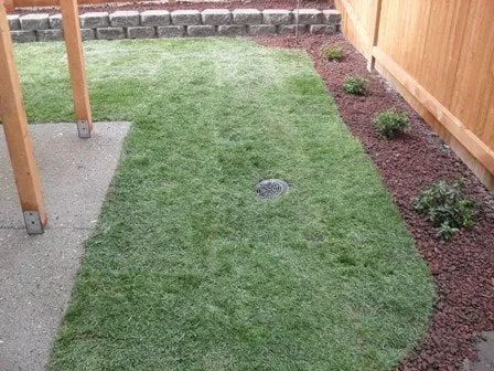 Trusted lawn mowing service in Lynnwood, WA by Seattle Maintenance Solutions