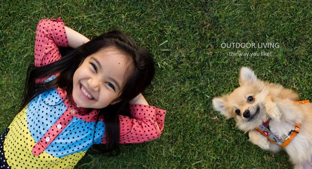 Professional outdoor landscaping in Kirkland, WA by Seattle Pro Turf