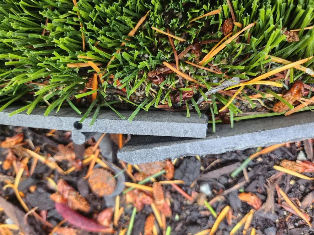 Local yard cleanup service in Kirkland, WA - Seattle Pro Turf