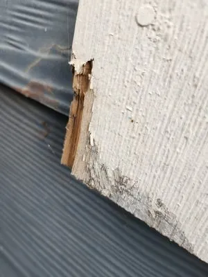 Seattle Pro Turf Logo