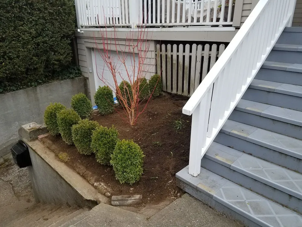 Trusted lawn care service for residential properties across Seattle, WA - Seattle Sustainable Landscapes