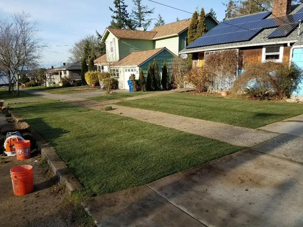 Trusted garden landscaping in Seattle, WA - Seattle Sustainable Landscapes