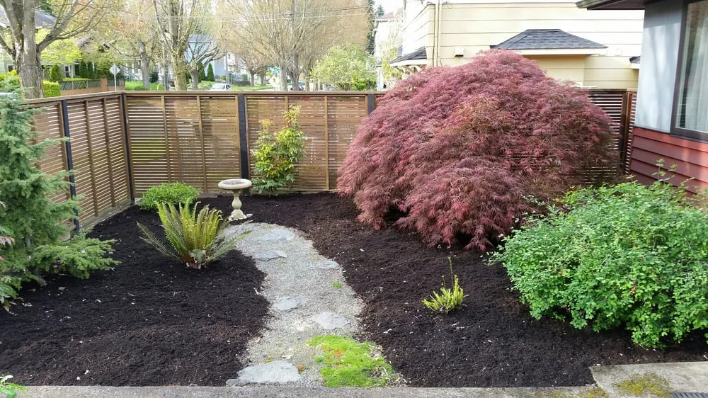 Reliable landscape installation for year-round maintenance across Seattle, WA - Seattle Sustainable Landscapes