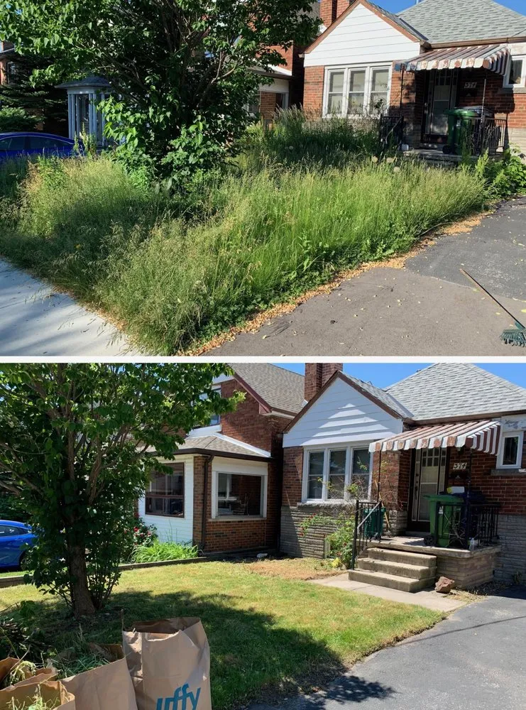 Affordable lawn care service experts serving Federal Way, WA - Seattle Yard Pros