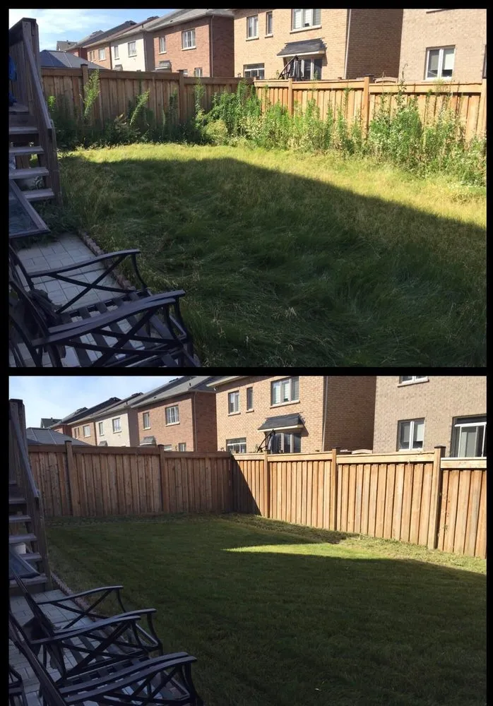 Custom lawn care service in Federal Way, WA by Seattle Yard Pros