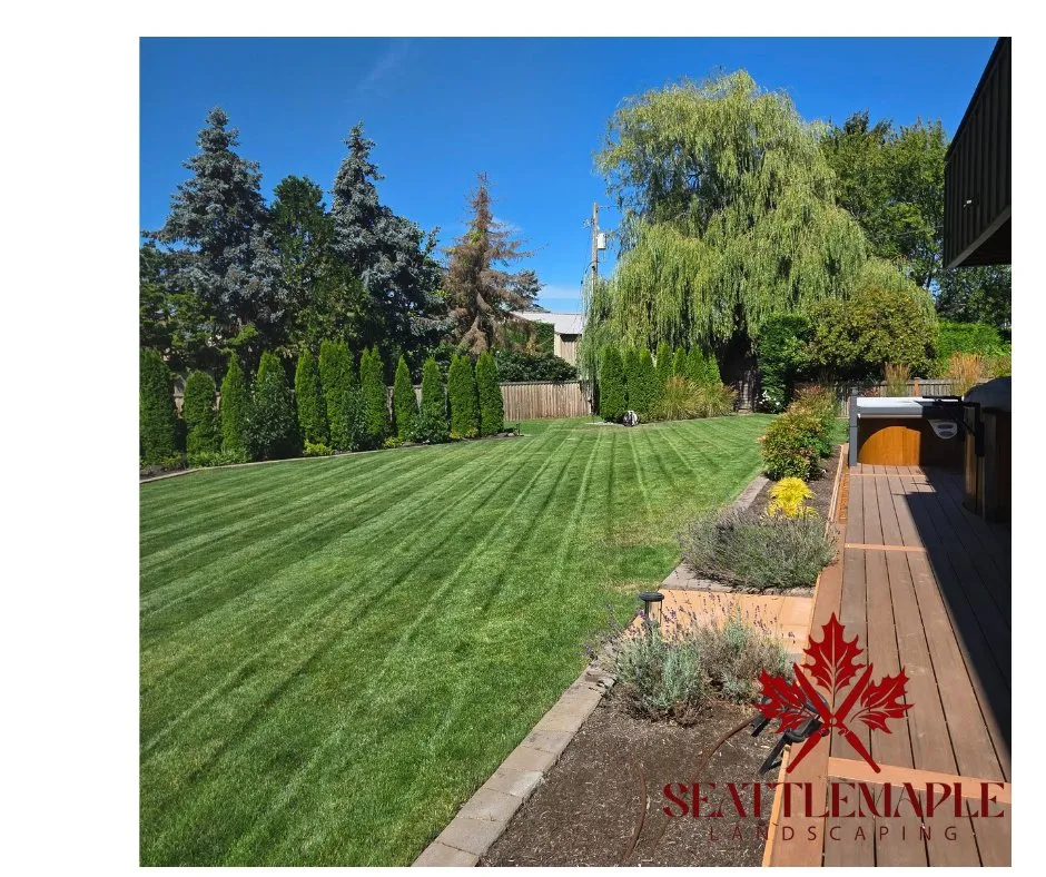 Local yard maintenance for year-round maintenance across Lynnwood, WA - Seattlemaple Landscaping