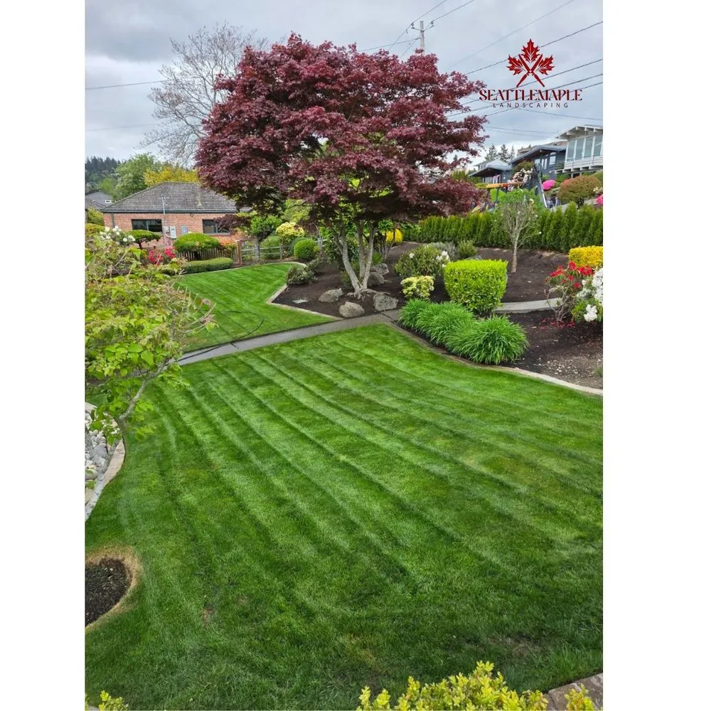 Local landscape installation experts serving Lynnwood, WA - Seattlemaple Landscaping