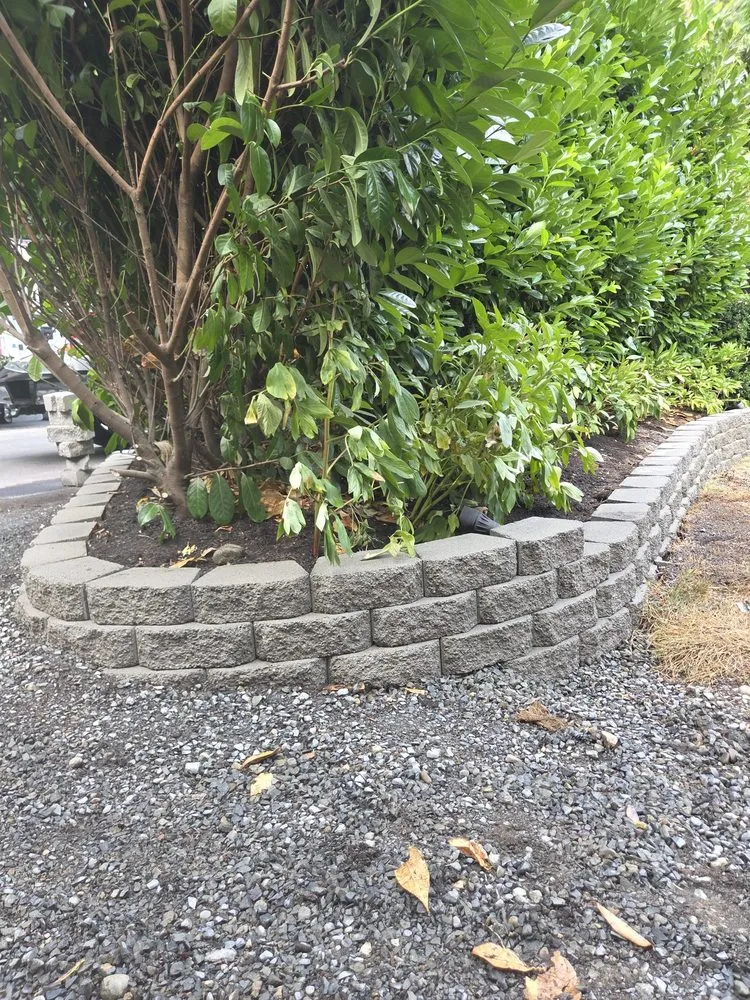 Trusted yard cleanup service in Lynnwood, WA by Seattlemaple Landscaping