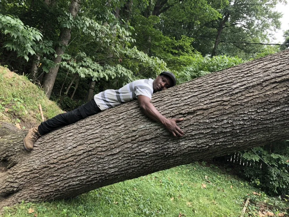 Top-rated outdoor landscaping in Baltimore, MD by Seaview Landscaping