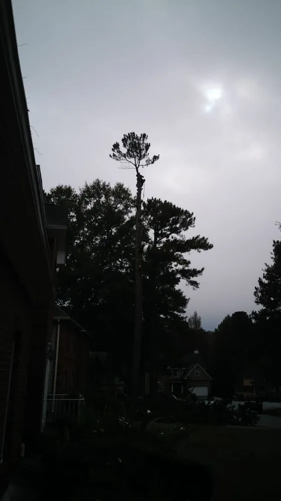 Custom lawn mowing service in Baltimore, MD - Seaview Landscaping