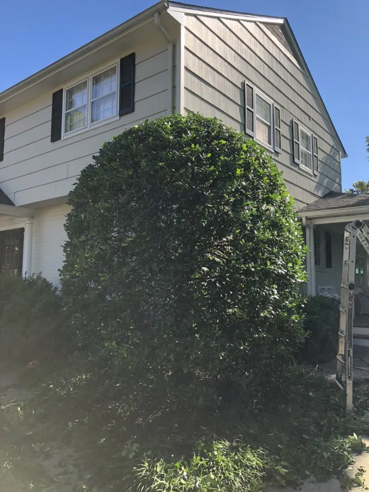 Affordable lawn care service experts serving Baltimore, MD - Seaview Landscaping