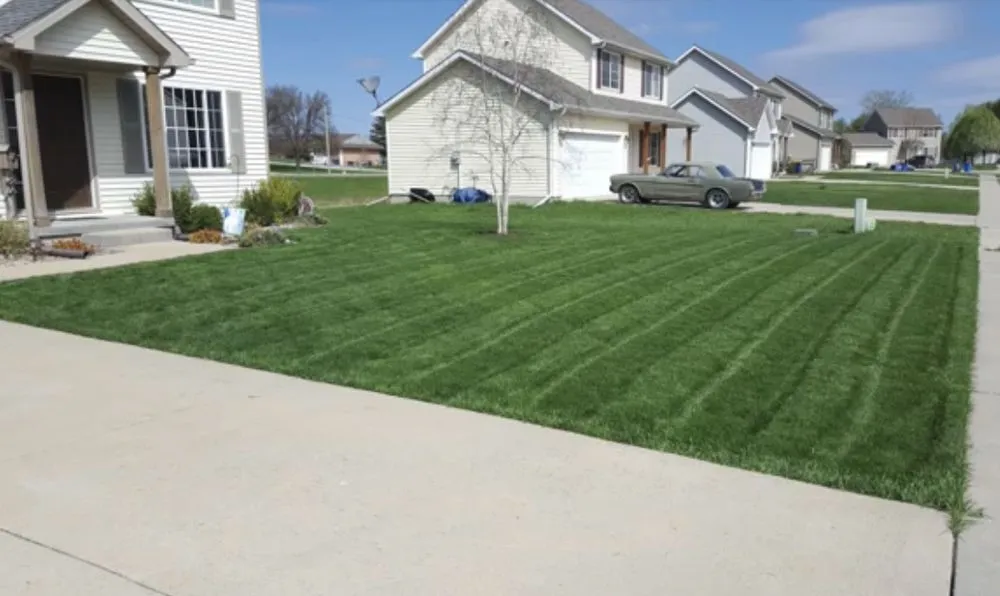 Affordable yard cleanup service for outdoor upgrades across Baltimore, MD - Seaview Landscaping