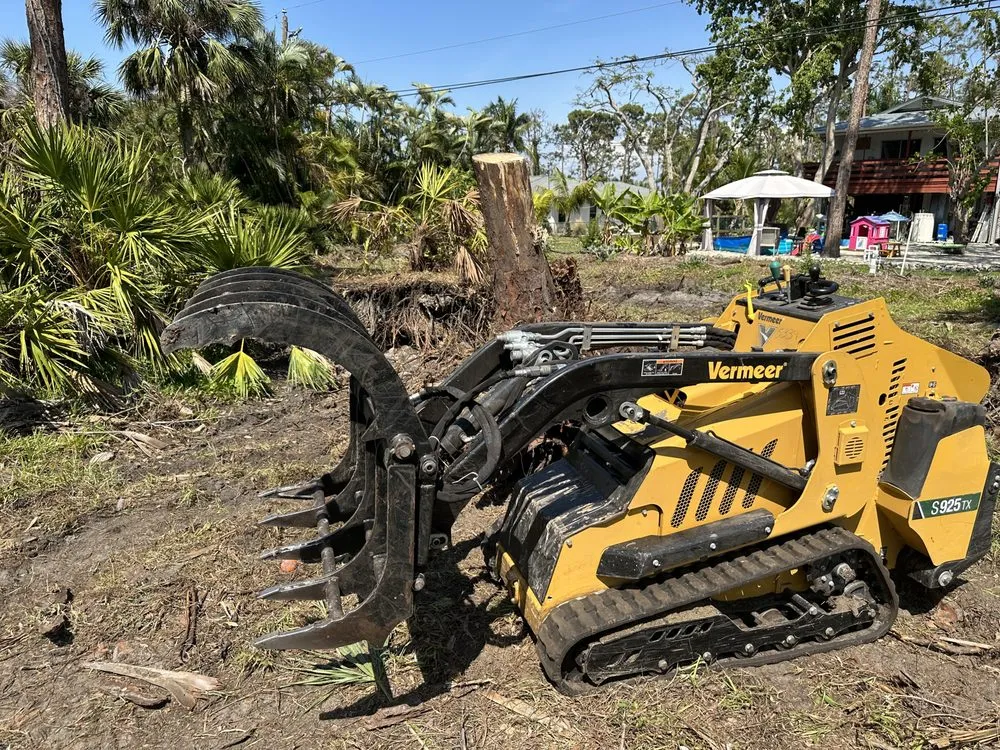 Reliable landscape design in Fort Myers, FL - Seaview Stump & Tree Removal
