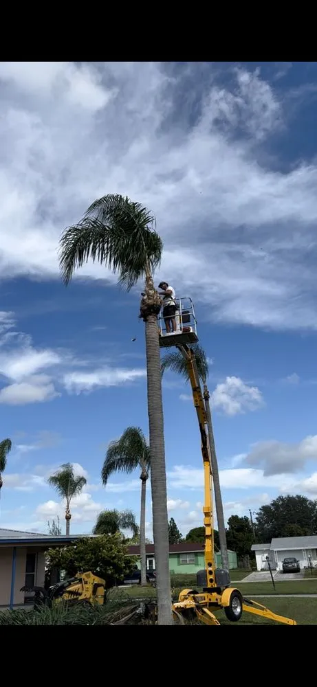 Affordable outdoor landscaping for homes in Fort Myers, FL by Seaview Stump & Tree Removal
