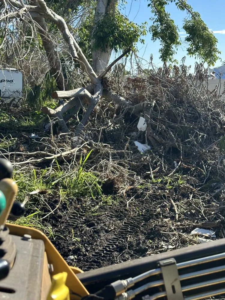 Top-rated yard cleanup service in Fort Myers, FL by Seaview Stump & Tree Removal