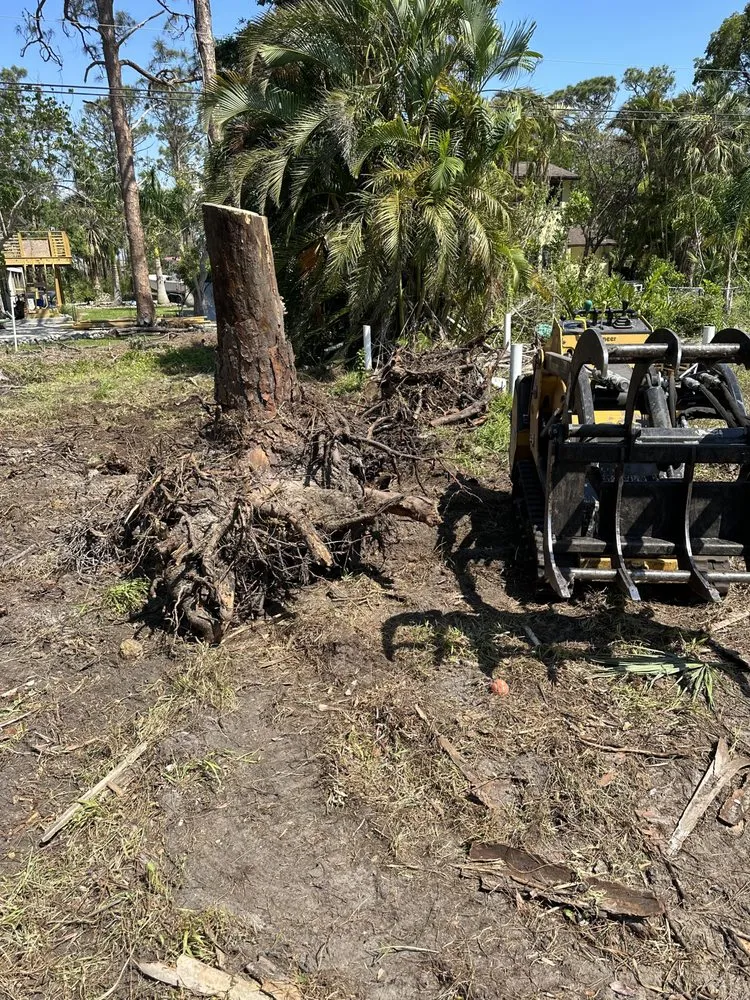 Trusted outdoor landscaping for beautiful yards in Fort Myers, FL by Seaview Stump & Tree Removal