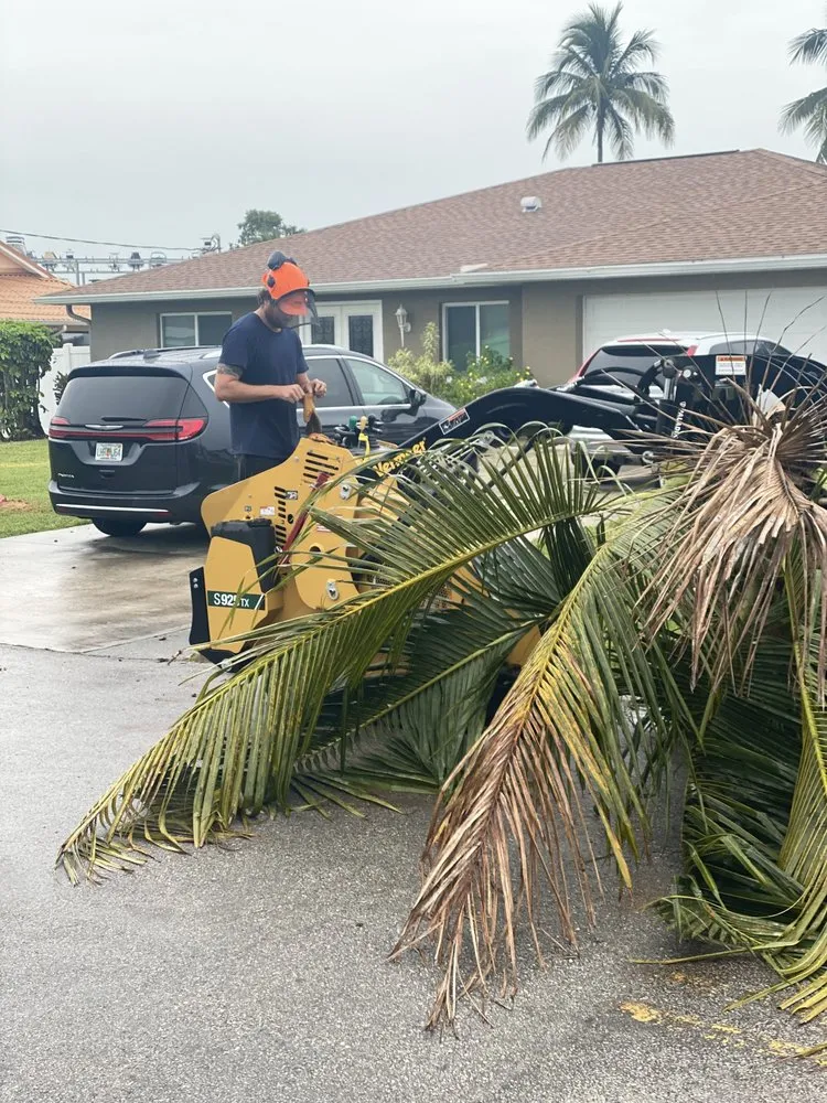 Local residential landscaping experts serving Fort Myers, FL - Seaview Stump & Tree Removal