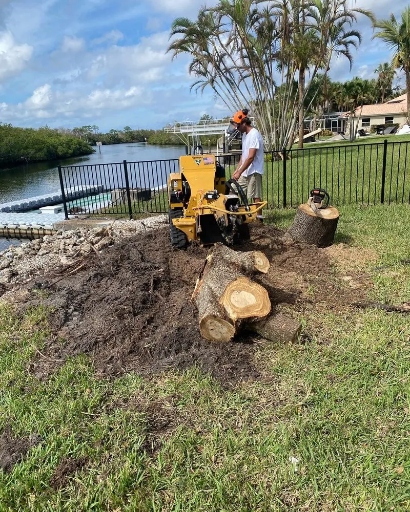 Expert landscaping services in Fort Myers, FL by Seaview Stump & Tree Removal