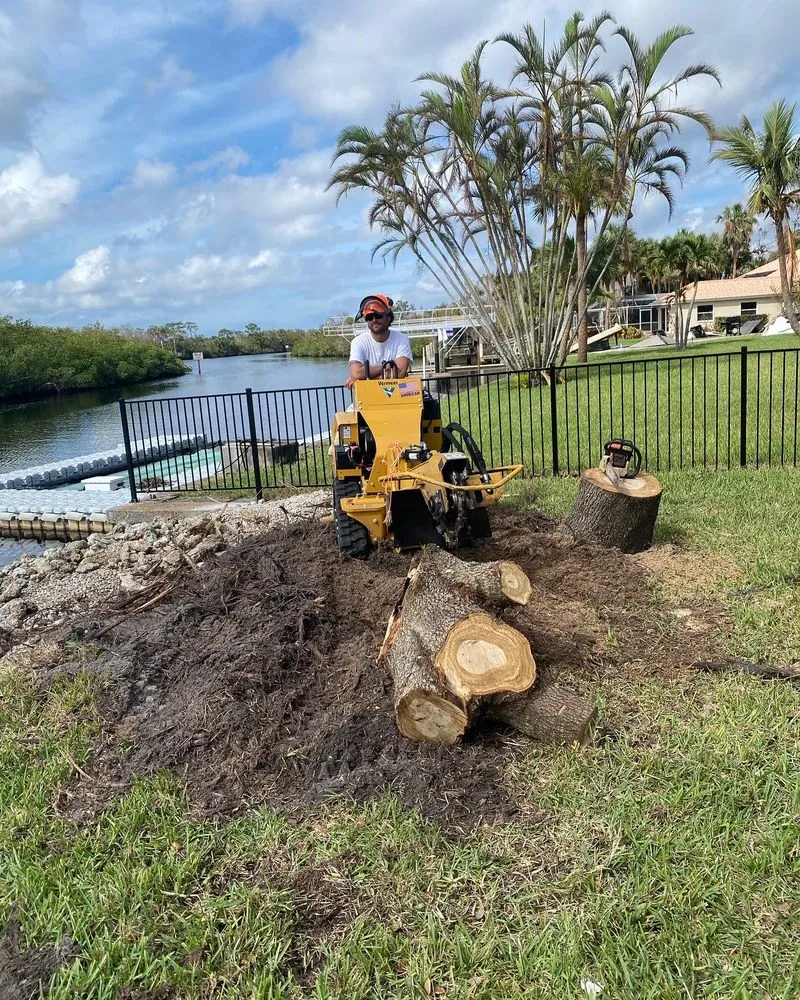 Affordable outdoor landscaping in Fort Myers, FL by Seaview Stump & Tree Removal