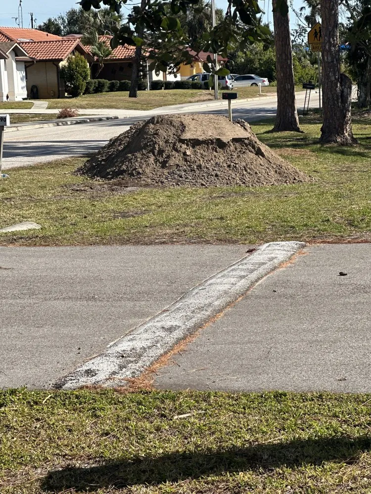 Trusted yard cleanup service experts serving Fort Myers, FL - Seaview Stump & Tree Removal