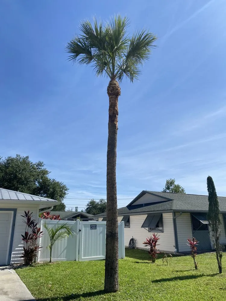 Custom outdoor landscaping in Fort Myers, FL by Seaview Stump & Tree Removal