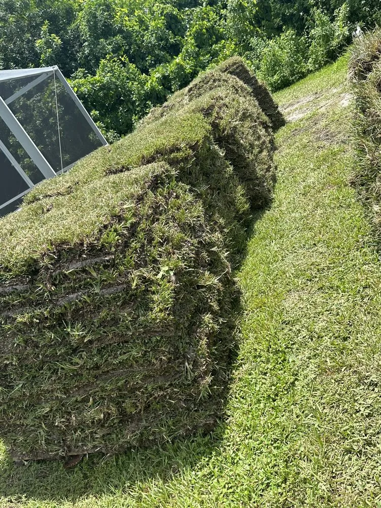 Local landscaping services near you in Fort Myers, FL by Seaview Stump & Tree Removal