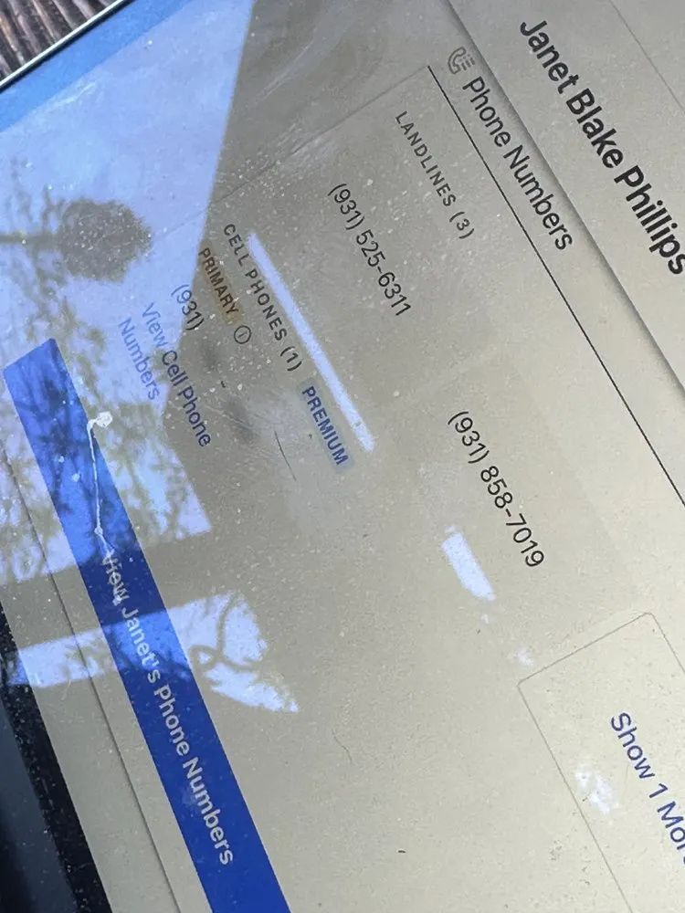 Custom outdoor landscaping in Fort Myers, FL - Seaview Stump & Tree Removal