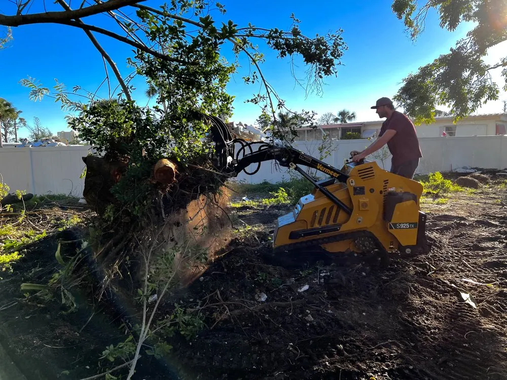 Trusted yard maintenance for beautiful yards in Fort Myers, FL by Seaview Stump & Tree Removal