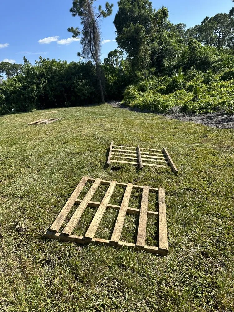 Affordable lawn care service experts serving Fort Myers, FL - Seaview Stump & Tree Removal