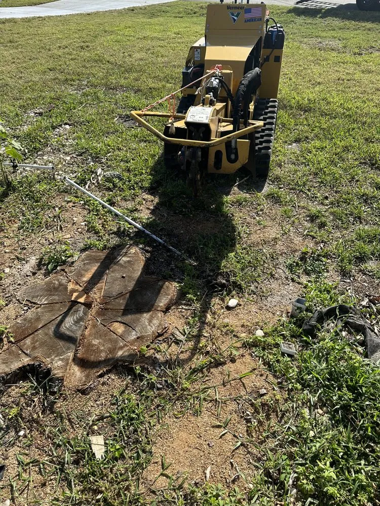 Local landscape installation near you in Fort Myers, FL by Seaview Stump & Tree Removal