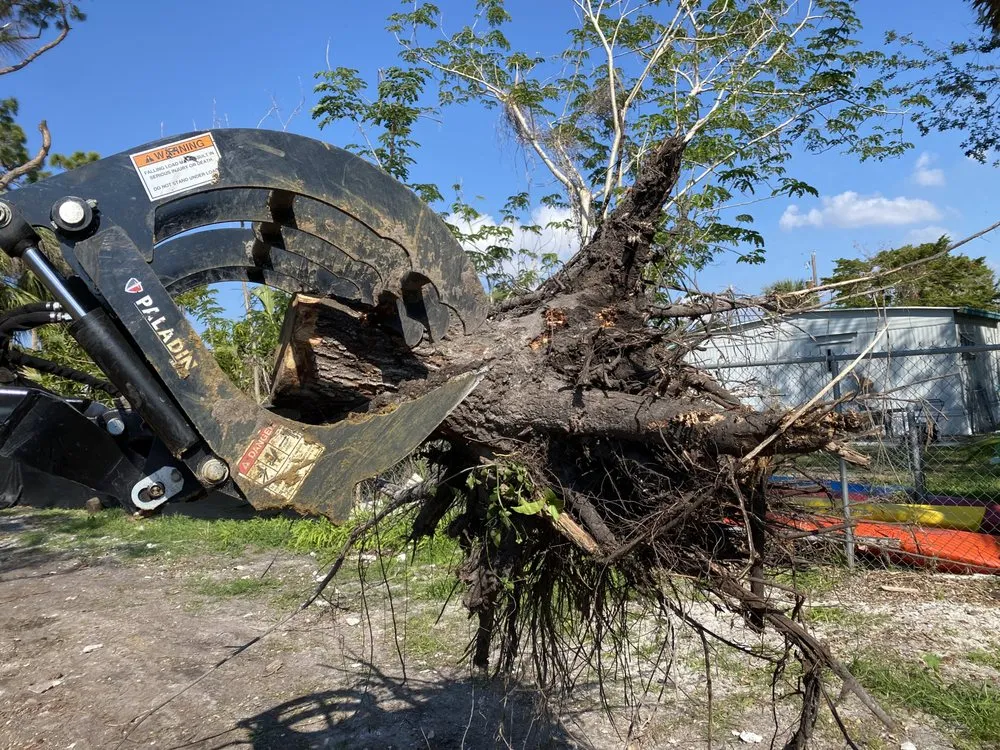 Trusted lawn care service for homes across Fort Myers, FL - Seaview Stump & Tree Removal
