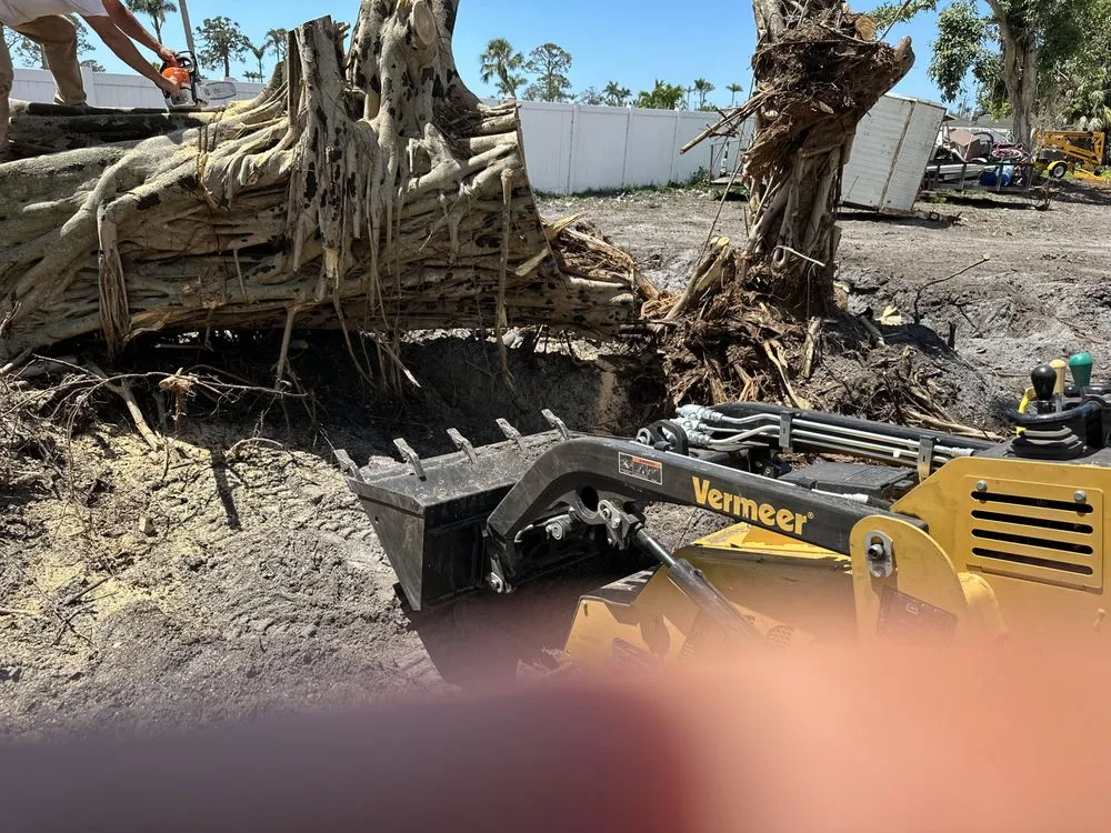 Local yard maintenance experts serving Fort Myers, FL - Seaview Stump & Tree Removal