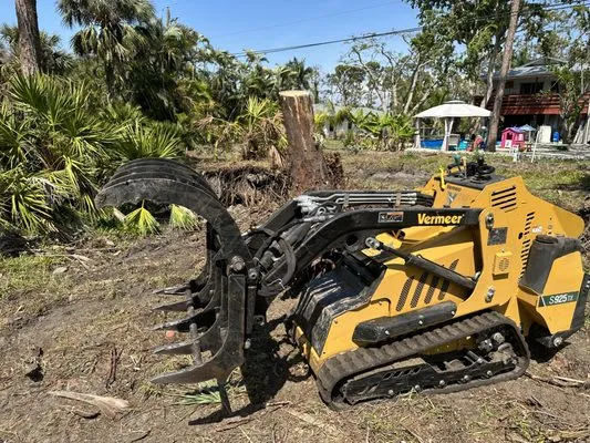 Seaview Stump & Tree Removal Logo