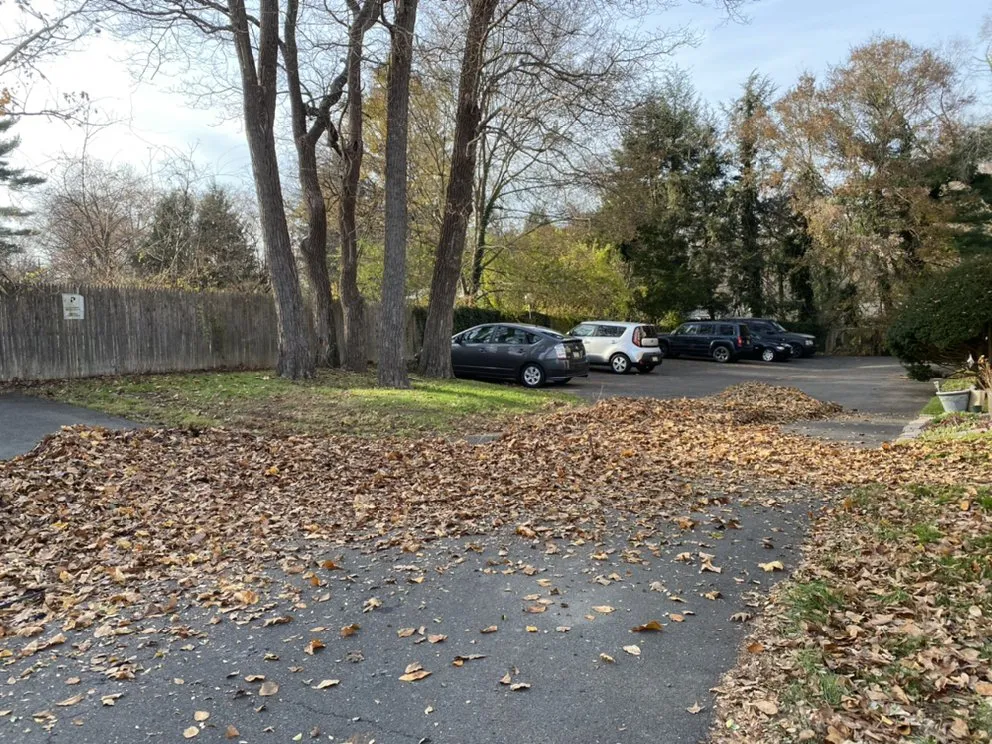 Professional landscape installation in North Wales, PA - Sebastian Heredia Landscaping & Maintenance