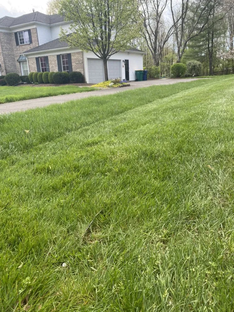 Professional landscape design in North Wales, PA by Sebastian Heredia Landscaping & Maintenance