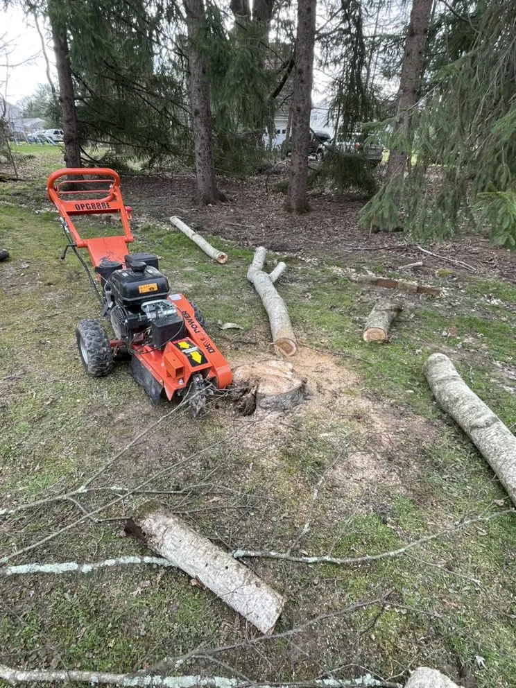 Local yard cleanup service in North Wales, PA by Sebastian Heredia Landscaping & Maintenance