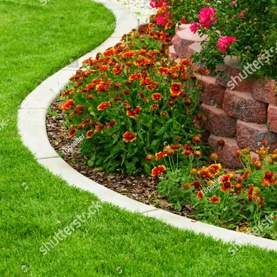 Sebastian Jardinería Logo