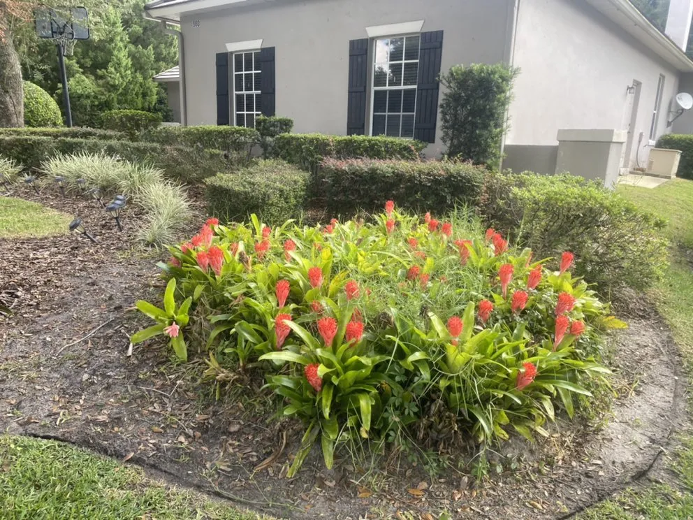 Trusted yard maintenance for outdoor upgrades in Apopka, FL by Sebastian Landscape Design