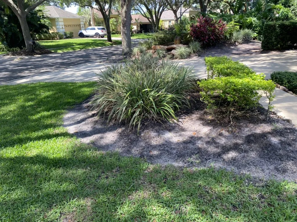 Expert yard maintenance experts serving Apopka, FL - Sebastian Landscape Design