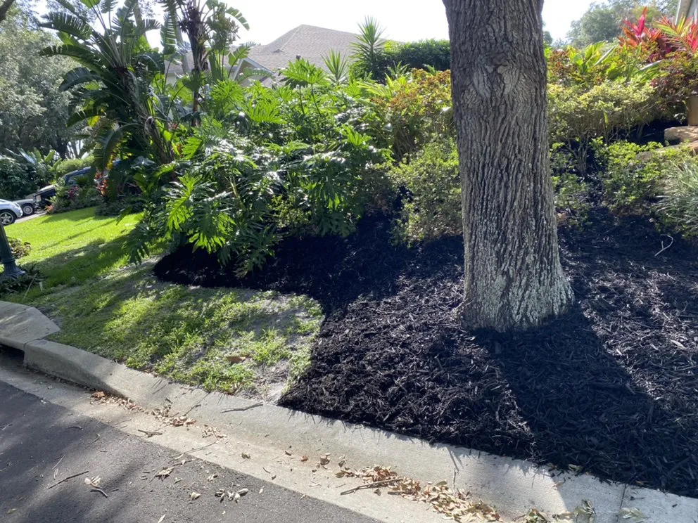 Professional garden landscaping for beautiful yards in Apopka, FL by Sebastian Landscape Design