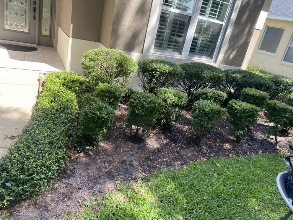Trusted lawn mowing service for outdoor upgrades in Apopka, FL by Sebastian Landscape Design